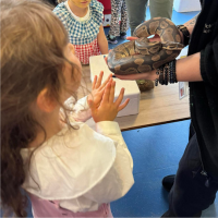 A child gently pets a large, calm python